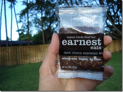 Earnest Eats Bar1(640x480)